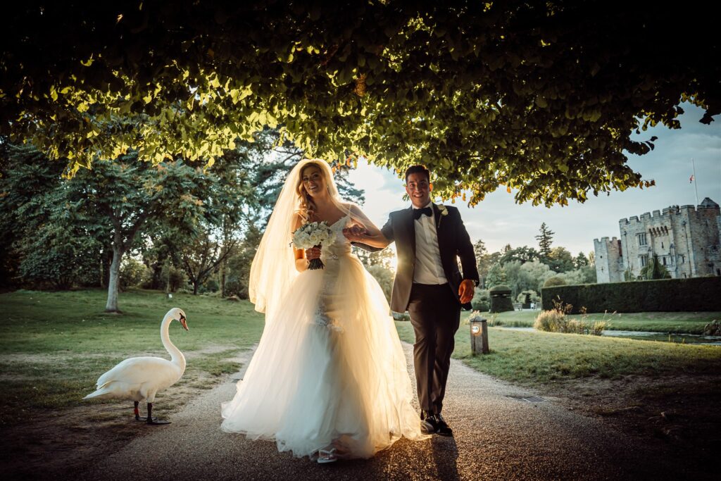 Wedding couple walking through the grounds of Hever Castle past a swan.