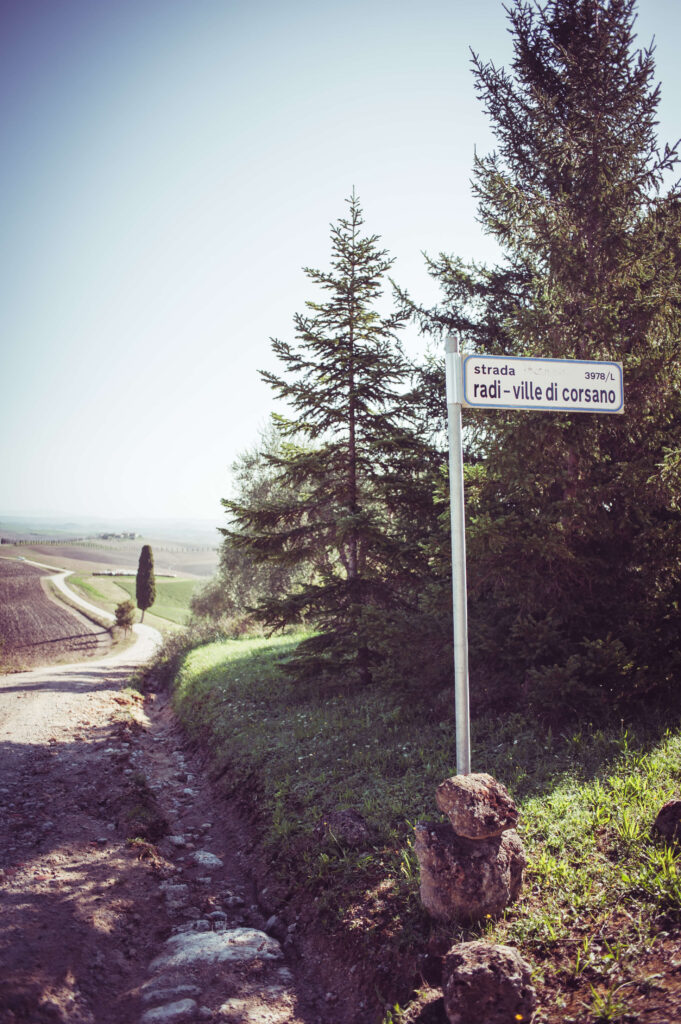 Picture of roadsigns with the road showing on the left.