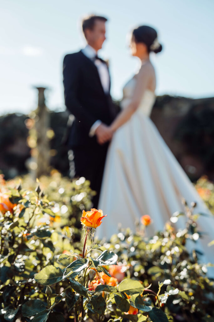 Couple embrace at the Rose Garden at Hever Castle. The area focuses on the roses surrounding them.